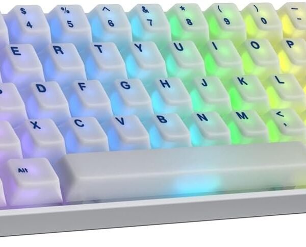 Ranked Master M65 HE 65% | Rapid Trigger Technologie | Magnetische Mechanische Gaming-Tastatur | 68 Tasten RGB LED f?r PC/Mac Gamer | US Layout (POM Dye Sub, Clear Switch)